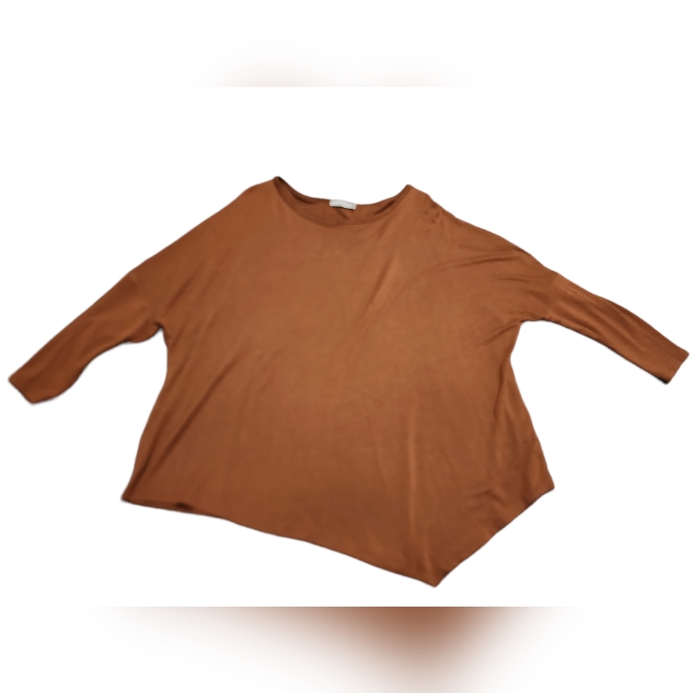 Zara Soft Asymmetrical Hem Brown Tee, Size L